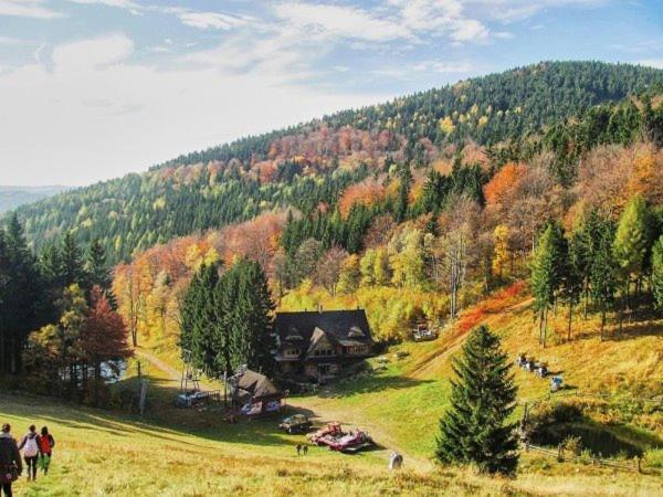 Bukowa Chata Jugów Екстериор снимка